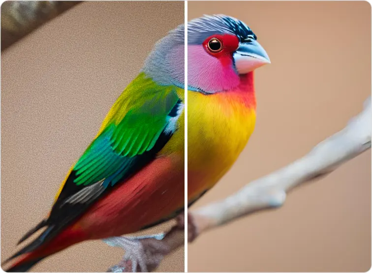 Image Denoiser preview image