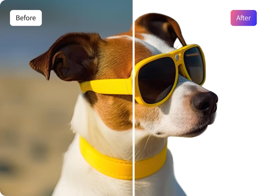 Perfect for Products and Portraits image preview